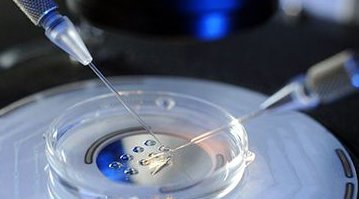 沈阳试管婴儿报销指南，解读报销条件，轻松应对医疗费用