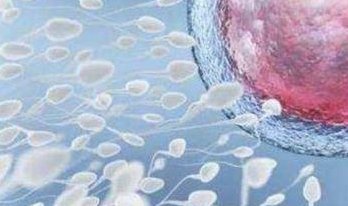 试管婴儿一代与二代的价格差异是多少？全面最及费用解析