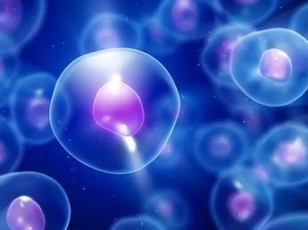 2026年在香港去海南慈铭博鳌医院做三代试管的成功率有多少？