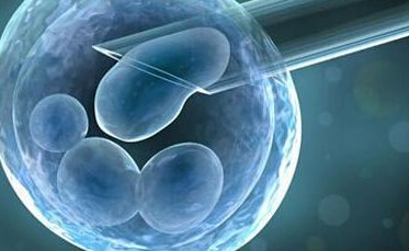 揭秘泰国三代试管婴儿全攻略，预算规划与必备准备事项