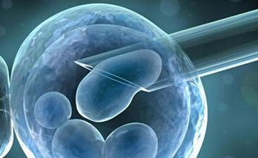 2026年染色体异常去韶关做试管婴儿需要花费多少钱？收费明细表解读